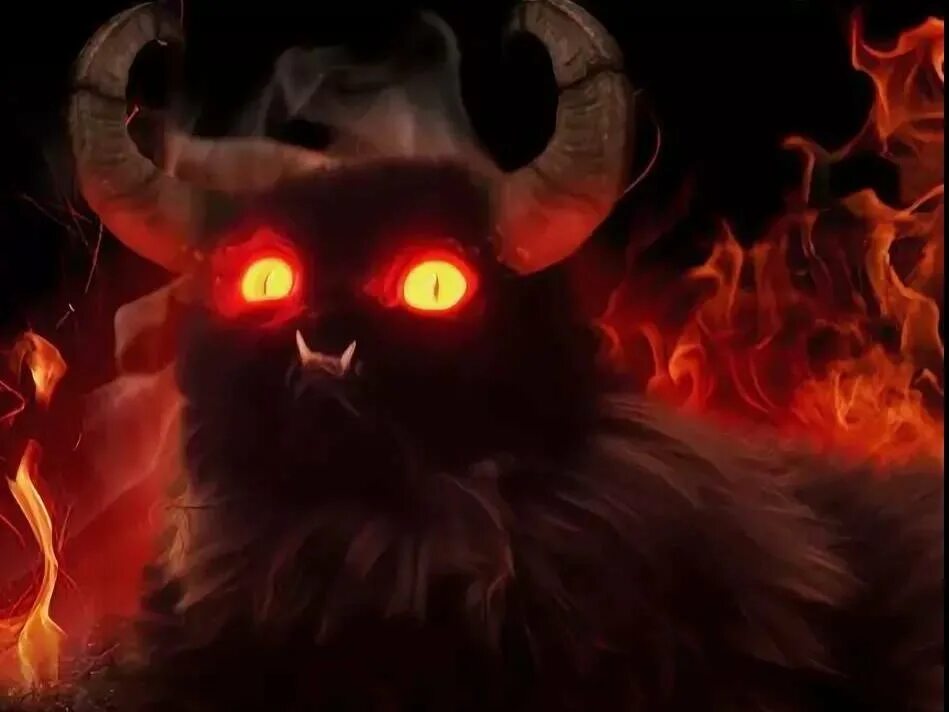 Тёмная сторона жизни кошек Cats, Pets cats, Evil cat