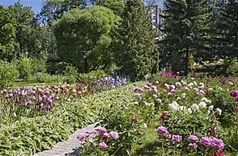 Ботанический сад особо охраняемая природная территория