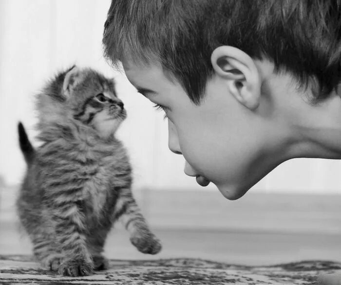 Кот не любит детей. Мальчик с котом. Маленькие котята мальчики. Кот для детей.