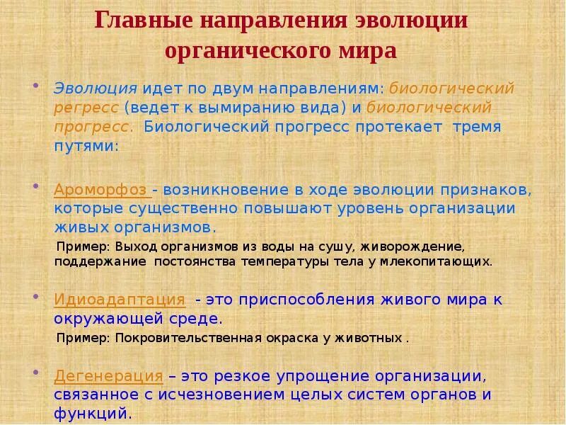 Главные направления эволюции презентация.