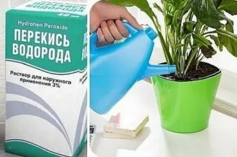 Перекись водорода для комнатных