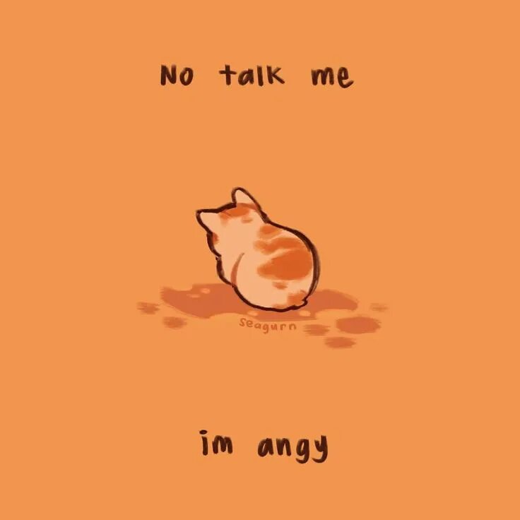He will talk to me. No talk me Angy. No talk to me i Angy. Котик no talk me. Angy Мем.