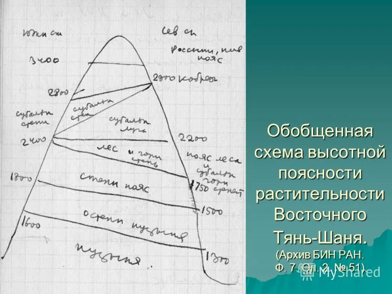 Высотная поясность гор камчатки. Схема высотной поясности тянь шаня. Высотная поясность гор камчатки пояса. Схема высотной поясности гор алтая. Широтная зональность и высотная поясность.