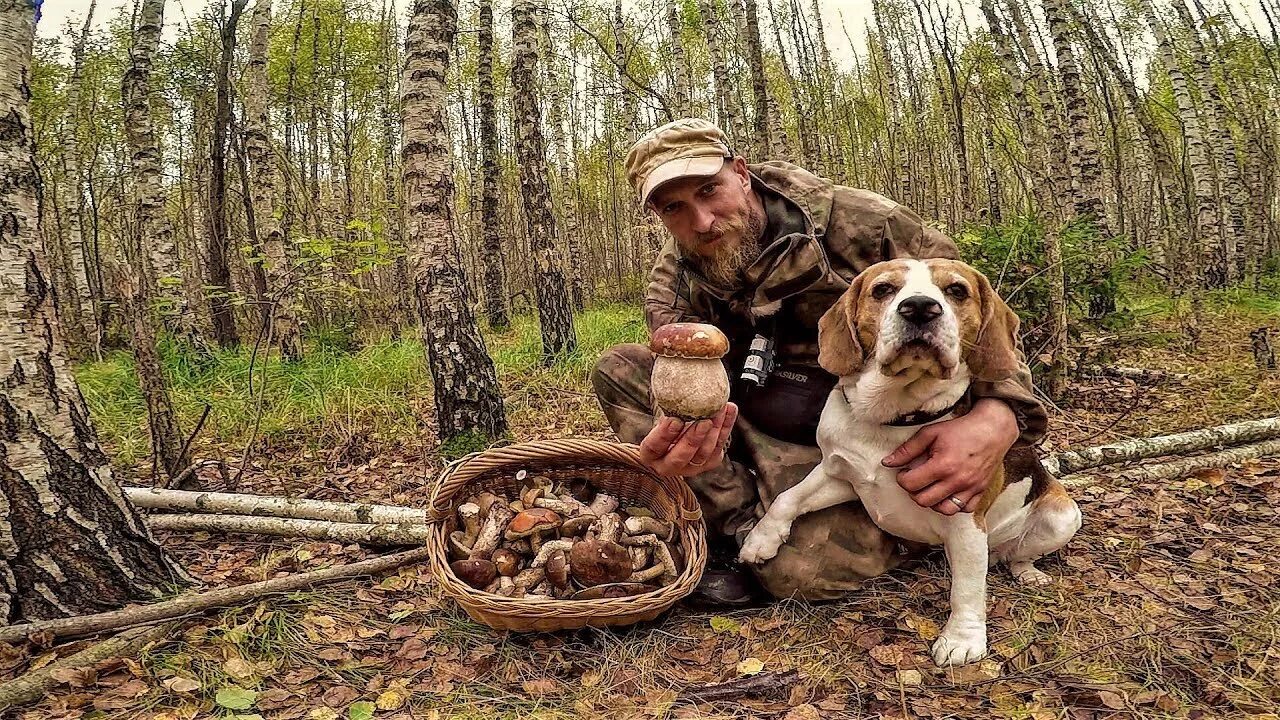 Люди собирают грибы. Что собирают люди которые увлекаются тихой охотой. Охотники на привале картина перова. Картина рыбак. Люди увлекающиеся тихой охотой.
