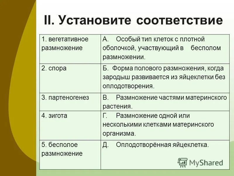 Жизнь на земле происходит благодаря размножению организмов