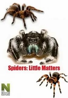 Little matters