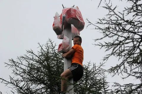 Полез на столб