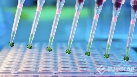In vitro