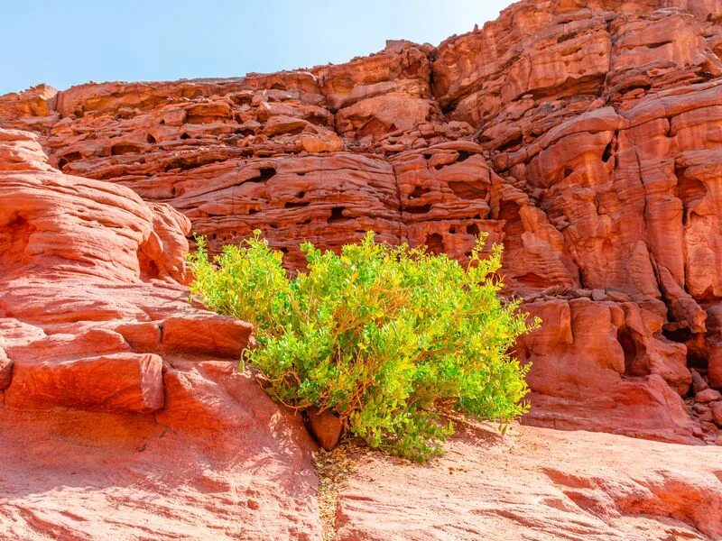 Каньон Салама Египет. Цветной каньон Шарм-Эль-Шейх. Шарм-Эль-Шейх каньон красный. Цветной каньон Шарм Аль Шейх. Каньон шарм эль шейх