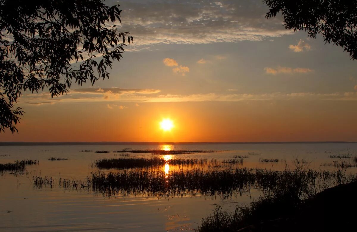 Профессиональные пейзажи. Заход солнца в августе. Пшеничное поле. Заход солнца в августе. Август природа.