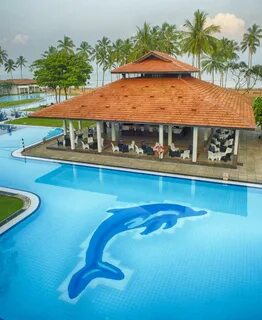 Club hotel dolphin шри
