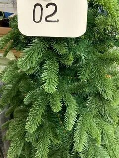 Имя для ели