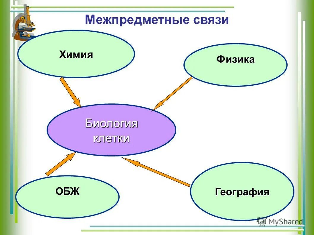 связь биологии с другими науками кратко. взаимосвязь социального и биологического. взаимосвязей биологических понятий. термин информации в биологии. взаимосвязей биологических понятий.