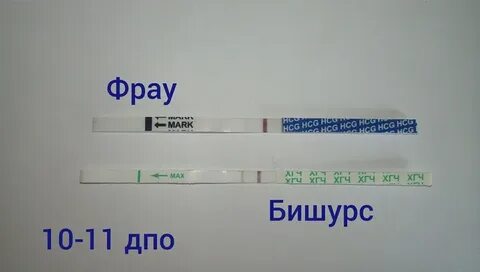 Дпо 38