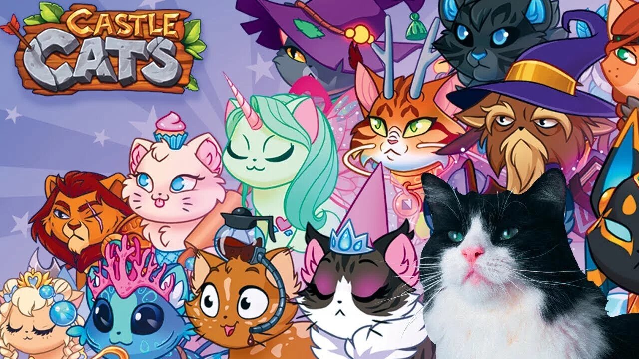 Кастл кэтс игрушки. Кастл кэтс котики. Мурлин Кастл кэтс. Игра Castle Cats. Включи кэтс