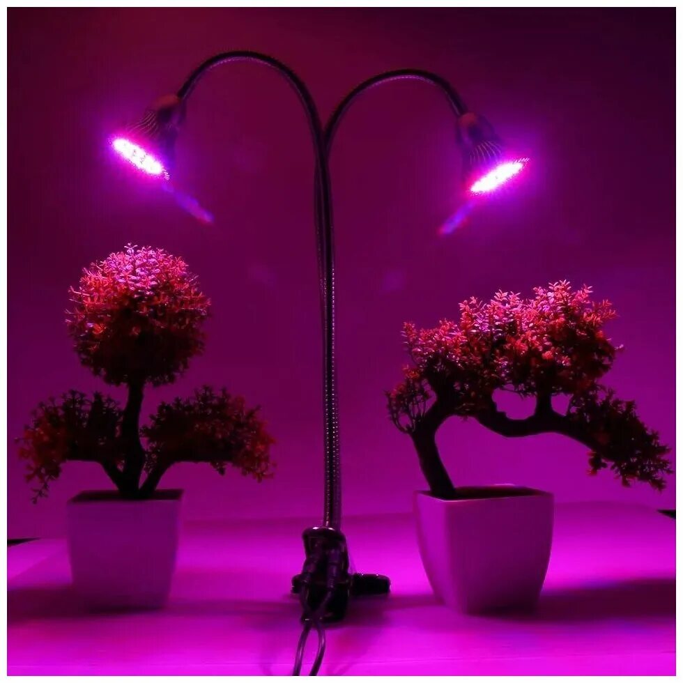 Фитолампа led grow Light. Фитолампа grow Light 40 Вт. Stim Fito лампы фитолампа. Фитолампа светодиодная Luazon, а60.