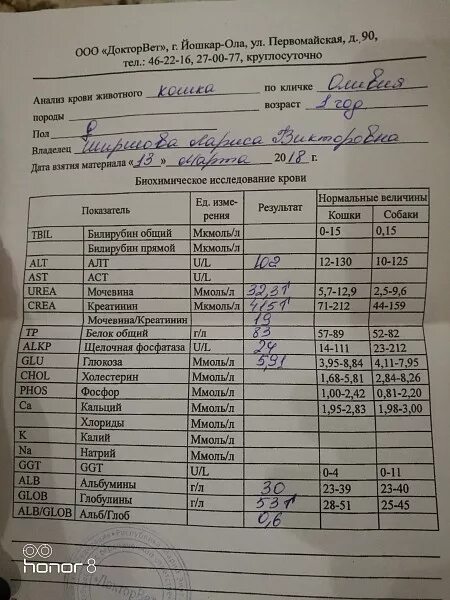 Анализ общего анализа крови при гломерулонефрите. Пиелонефрит показатели крови. Пиелонефрит общий анализ крови. Анализ мочи при пиелонефрите.