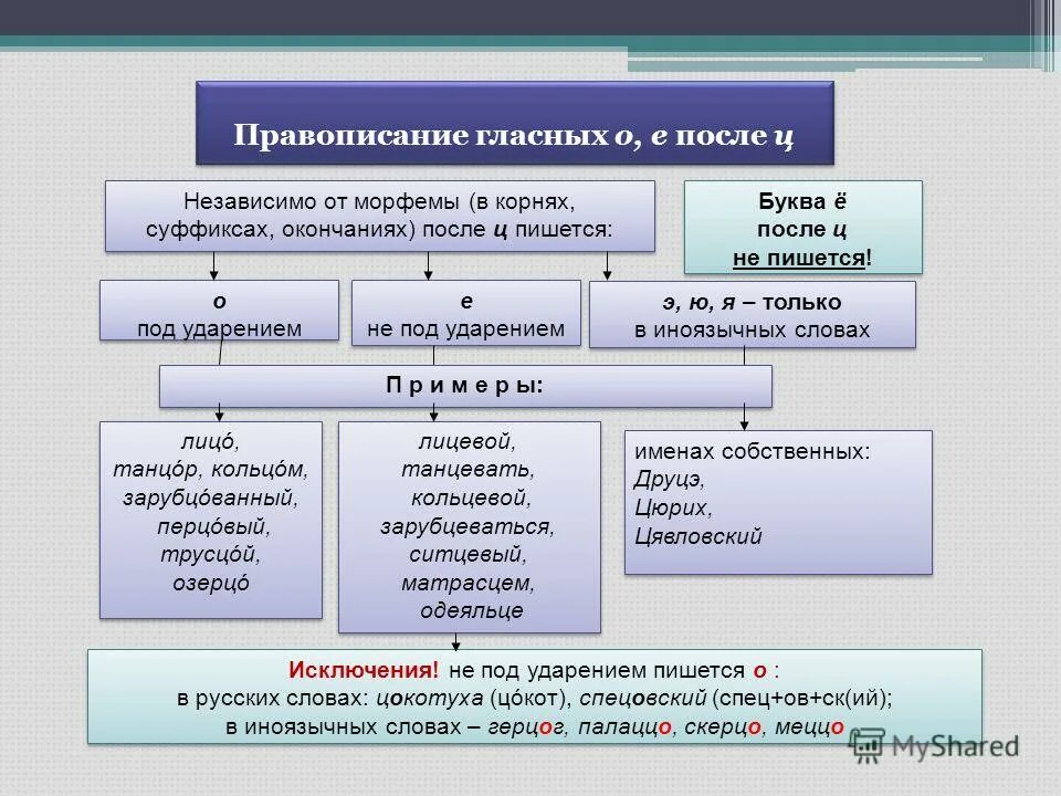 Написание гласной после ц