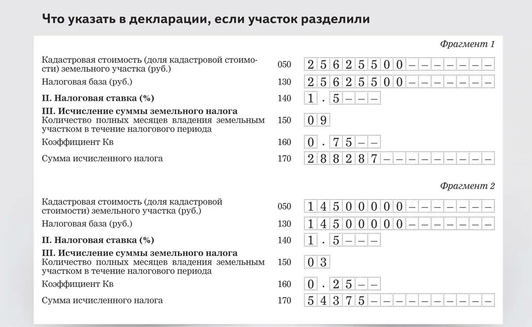 Налоговая декларация пенсионеру