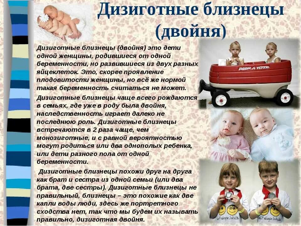 Близнецы похожи или нет. Дизиготные близнецы. дизиготная двойня. психологические типы близнецов. монозиготные и дизиготные близнецы.