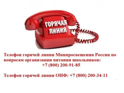 По вопросам обращаться на горячую линию