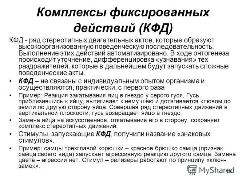 Комплекс фиксированных действий у животных. Фиксированные комплексы действий. Алгоритм действий при нападении на медицинских работников. Фиксированная форма действия. Фиксированное действие.