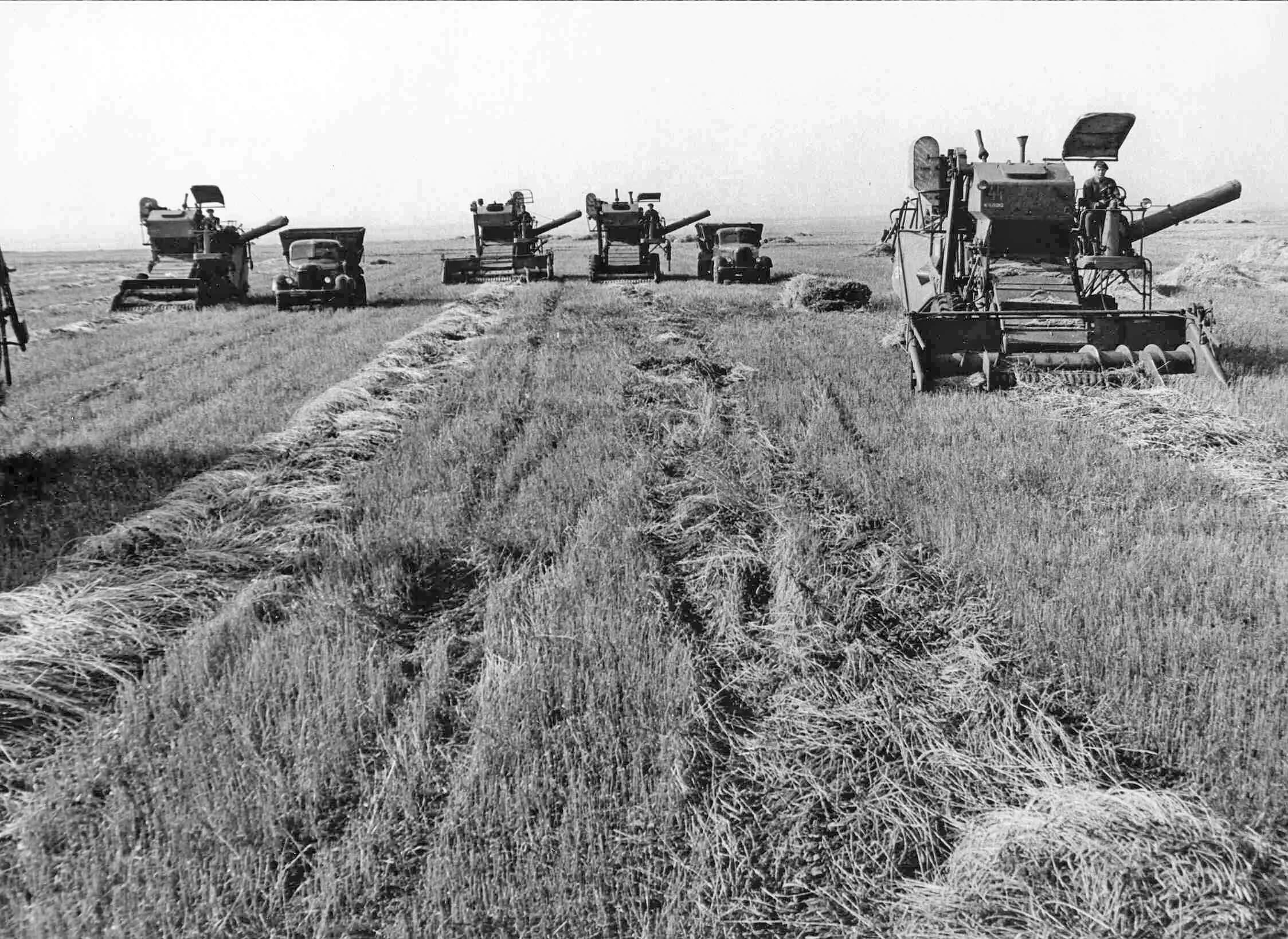 Сельское хозяйство 80. Сельскохозяйственной артелью (колхозом). Сельское хозяйство целина ссср. Колхозы и совхозы в ссср. Хлебоуборочный комбайн ссср.