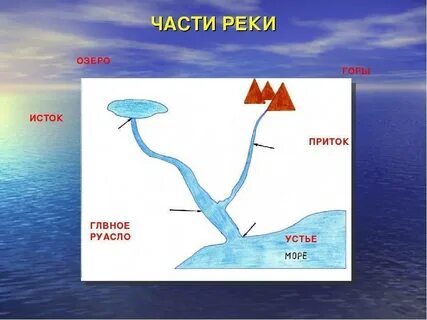 Река может вытекать из моря