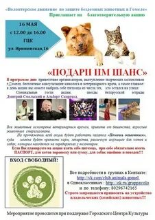 Подари им шанс зоозащитное