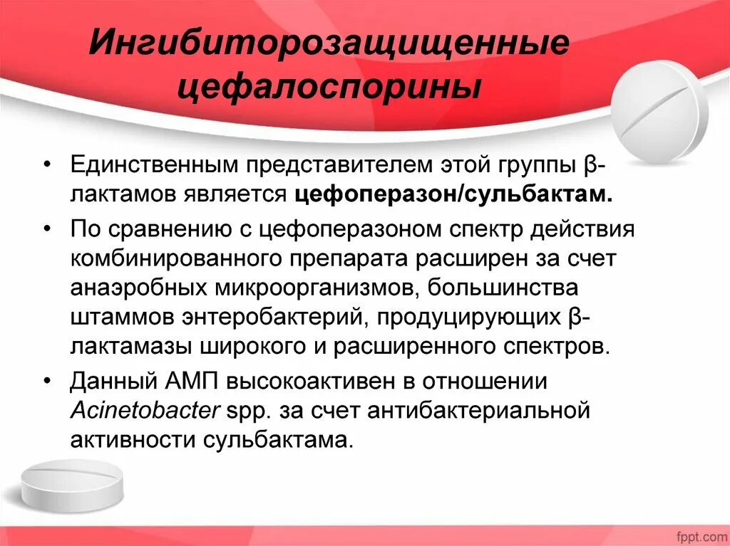 Единственным представителем