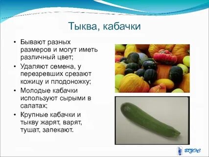 Со скольки можно кабачок