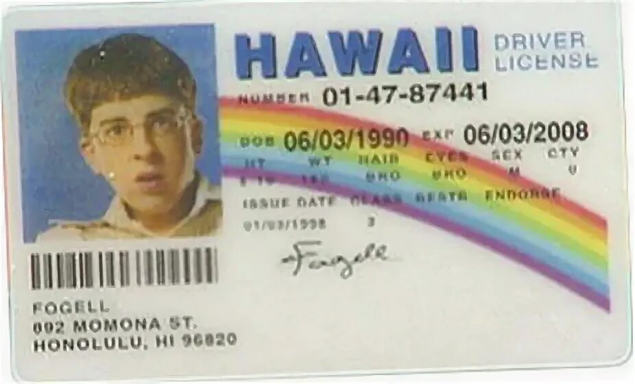 Mclovin driver license. Hawaiian drivers license. Hawaii driver license. Hawaii driver license mclovin. Hawaii driver license mclovin.