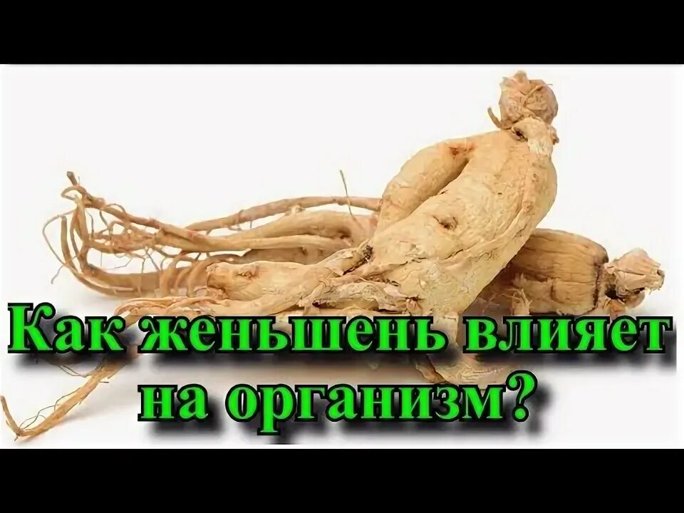 Чем полезен корень женьшеня. Корейский женьшень польза. Польза женьшеня для организма. Женьшень краткая информация о полезных свойствах. Женьшень №20 таб.