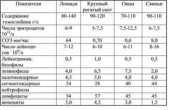 Соэ 50 при онкологии. Норма соэ у коров. скорость оседания эритроцитов коровы. норма эритроцитов у лошади.