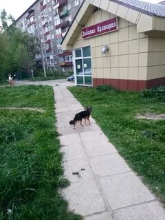 Районы кота