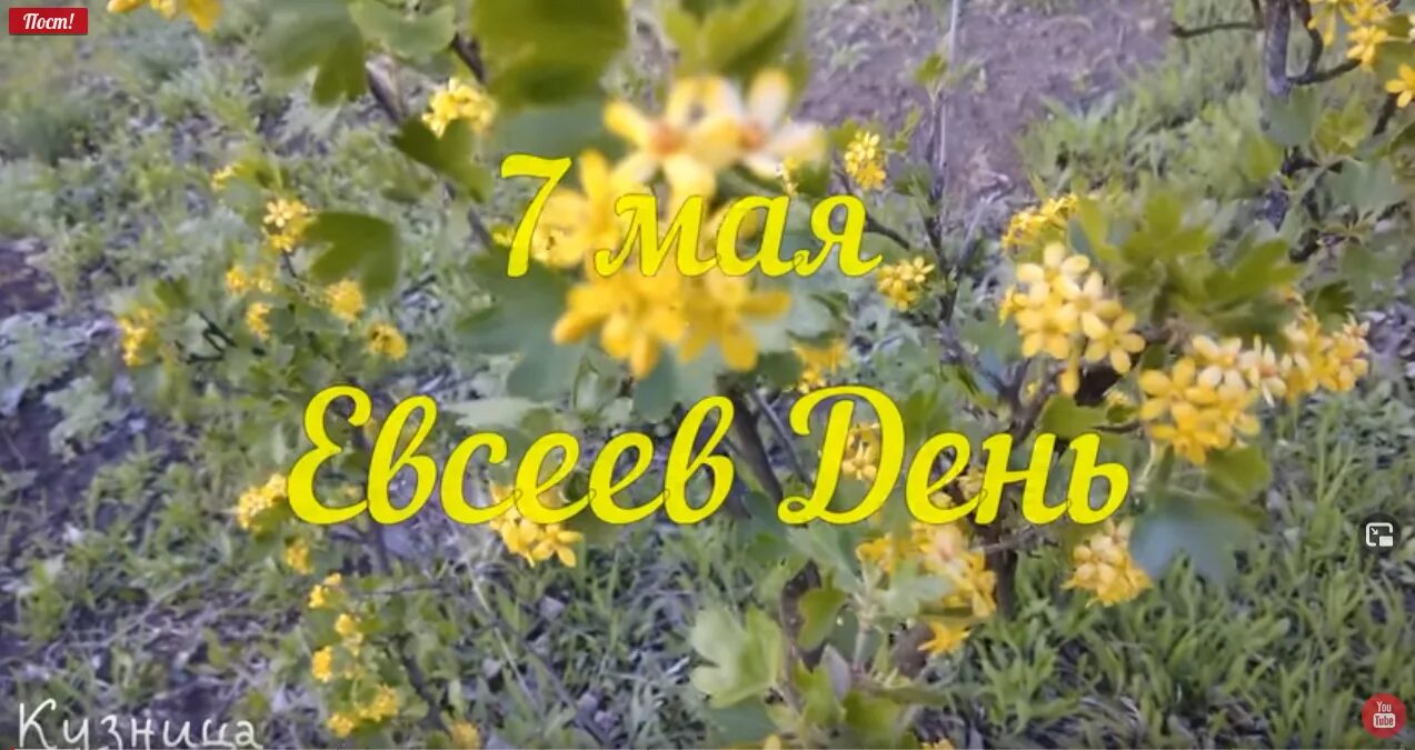 Приметы на 7 мая 2024. Евсеев день. евсеев день 7 мая.