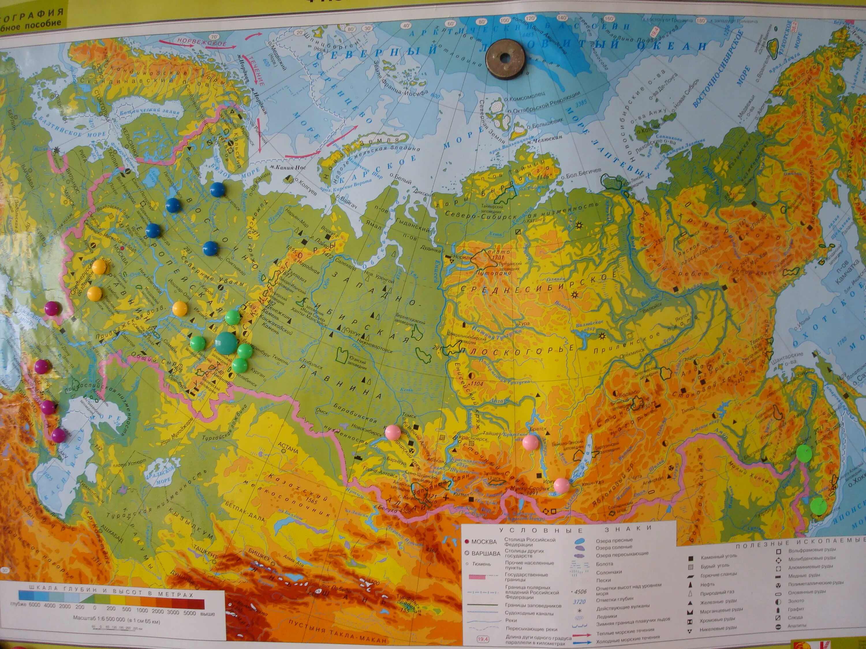 Физическая карта. Карта России. Физическая карта России. Географическая карта России для начальной школы.