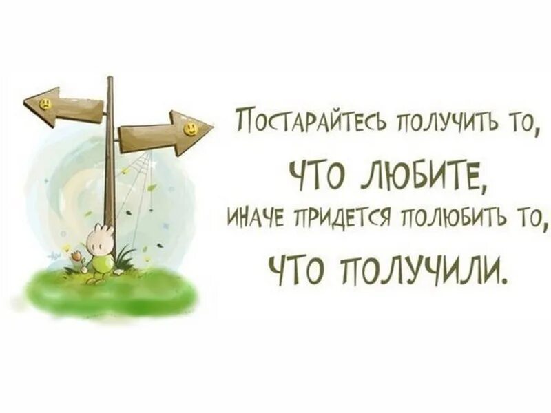 Прикольные фразы на день. Позитивные высказывания. Интересные высказывания в картинках. Смешные умные фразы. Веселые цитаты.