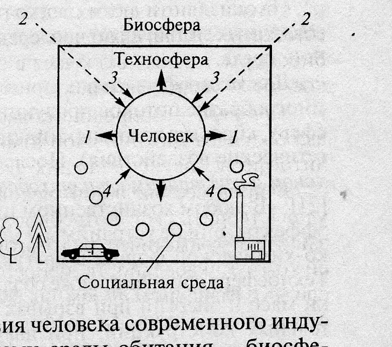 Среда обитания человека схема. Взаимодействие человека и среды обитания. Человек и среда схема. Схема взаимодействия человека со средой обитания.