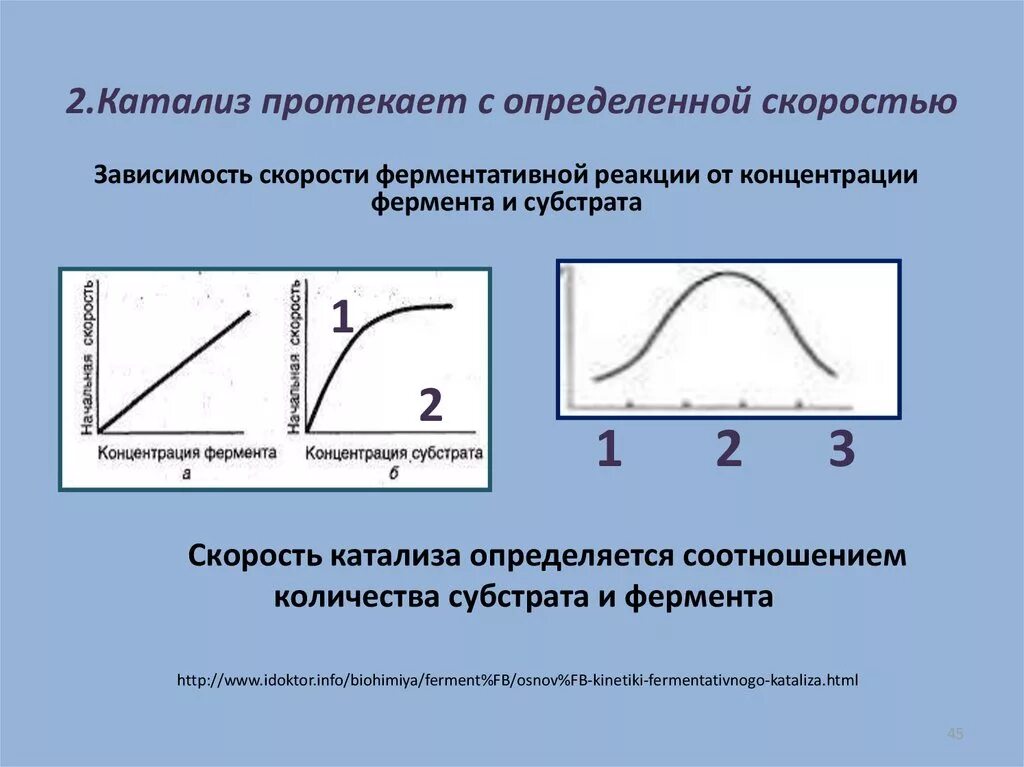 Зависимость скорости реакции от фермента. График зависимости скорости ферментативной реакции от температуры. зависимость скорости реакции от концентрации фермента. зависимость скорости ферментативной реакции от ph. зависимость скорости ферментативной реакции от рн среды.