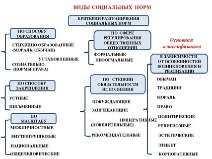 Виды социальных отношений в образовании