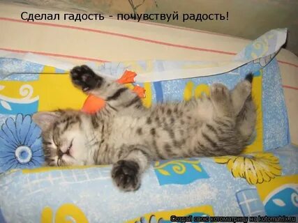 Радость гадость