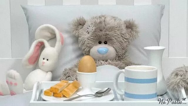 ♥ Tatty Teddy ♥ Tatty teddy, Teddy bear pictures, Teddy collections