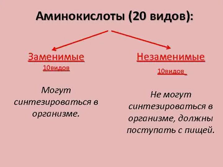 Незаменимая аминокислота в составе белков. Классификация белков заменимые и незаменимые. Заменимые и незаменимые аминокислоты таблица. Заменимые и незаменимые аминокислоты. Белки заменимые и незаменимые аминокислоты.