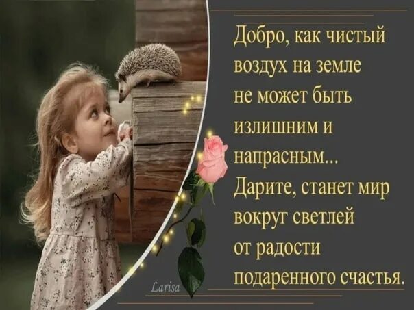 Доброта есть в каждом. Доброта есть в каждом