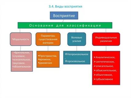 Особенности различных видов восприятия