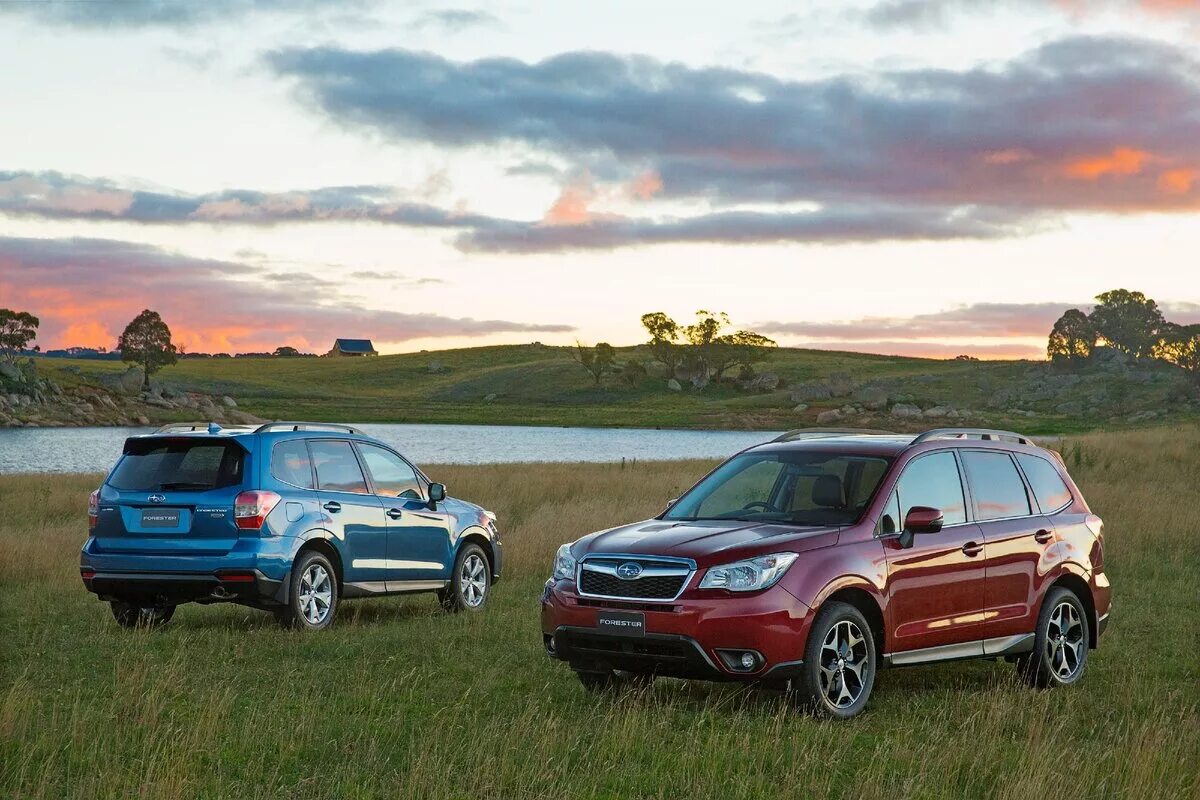 Форестер тест драйвы. Subaru Forester 2015. Субару Форестер 2015. Субару Форестер 5 поколения 2015. Subaru Forester AWD 2015.