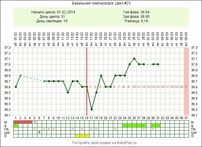 Можно ли забеременеть до овуляции за 2. Графики БТ С двойной овуляцией. Две овуляции в одном цикле на графике БТ. Две овуляции в одном цикле.