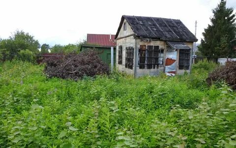 Погода шевлягино орехово зуевский