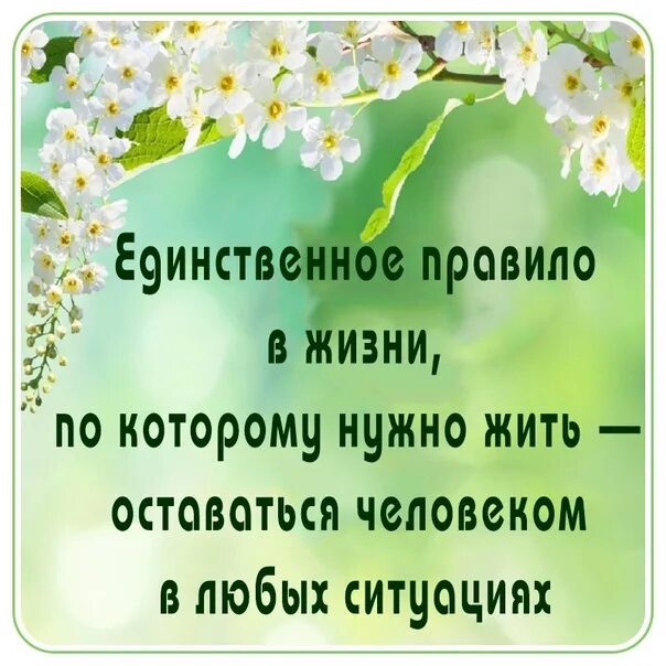 Чудо останется всегда. Родиться человеком это чудо остаться человеком это труд. родиться человеком это чудо. родиться человеком это чудо остаться человеком это труд чьи слова. родиться человеком это чудо остаться человеком это труд цитаты.